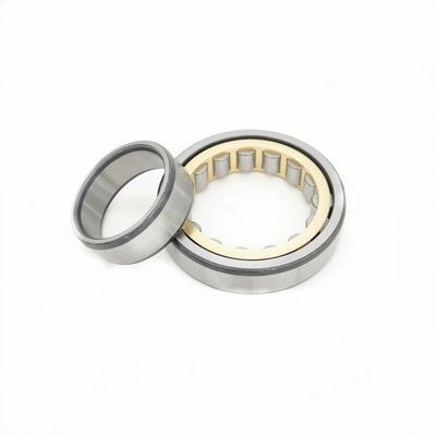Zylinderrollenbagger-Schwenklager NUP305 NUP306 NUP307 NUP308 NUP309